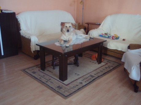 na...stolee...ked..mma zisti...ta zabije..mna i zuzu :DD